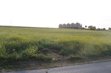 Property 22657 photo 3