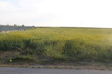 Property 22657 photo 2