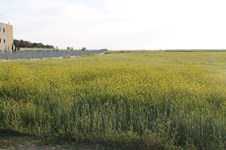 Property 22657 photo 4