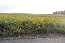 Property 22657 photo 5