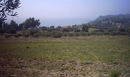 Land 4700 m² auf Kassandra (Chalkidiki)