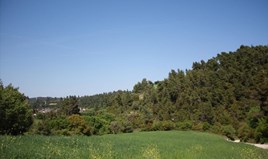 Land 4000 m² in Kassandra, Chalkidiki