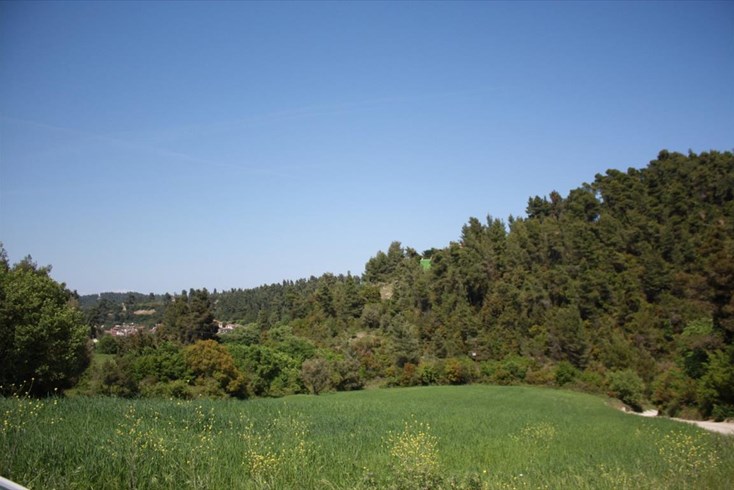 Realty photo 1