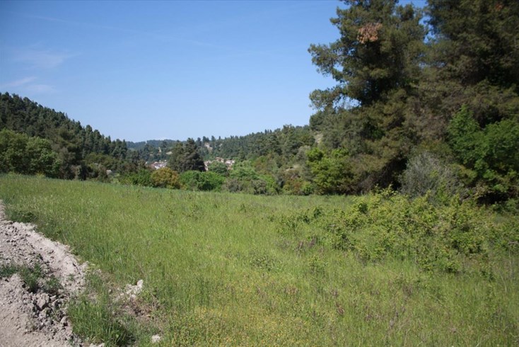 Realty photo 2