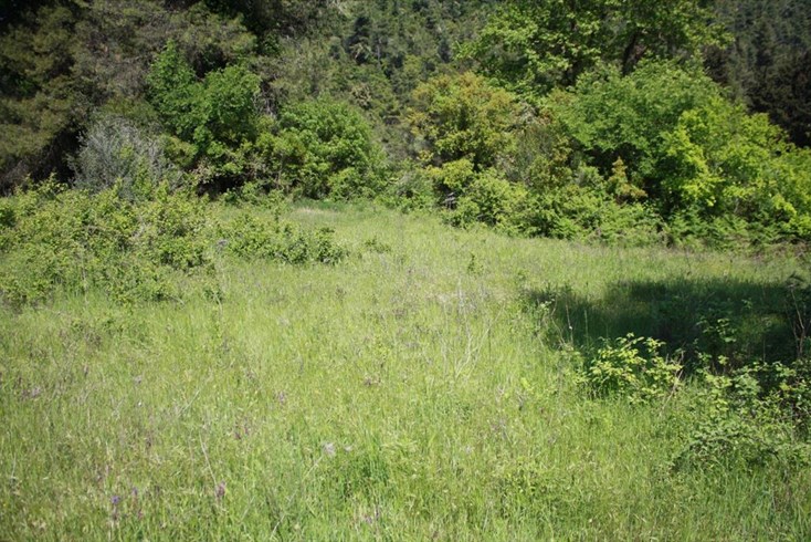 Realty photo 3