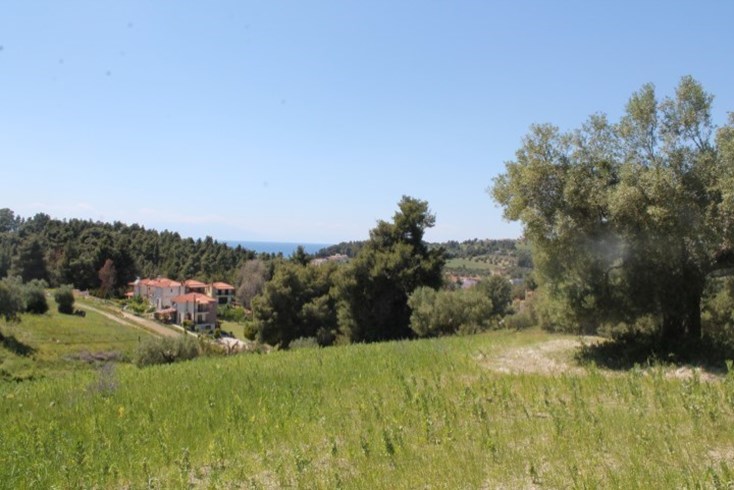 Realty photo 1