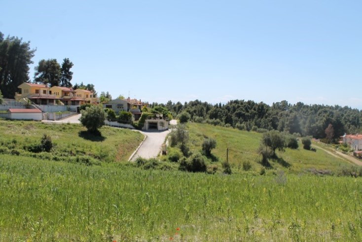Realty photo 2