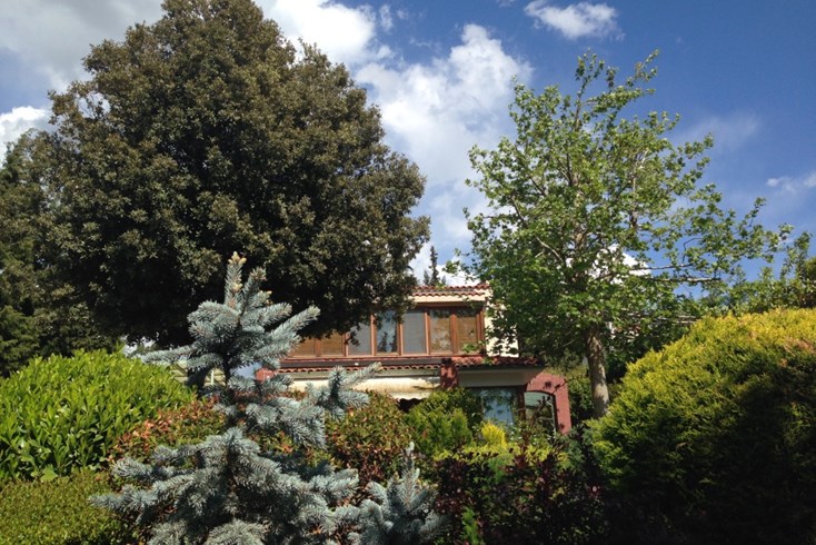 Realty photo 3