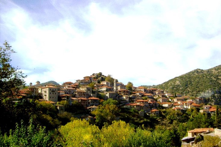 Realty photo 2