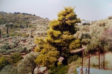 Property 22780 photo 5