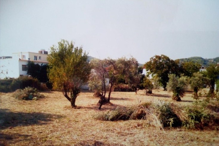 Realty photo 1