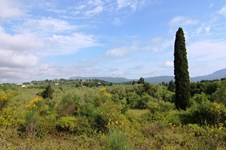 Property 22811 photo 2