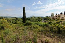 Property 22811 photo 1
