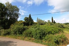 Property 22811 photo 4