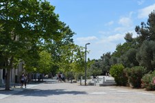 Property 22821 photo 2