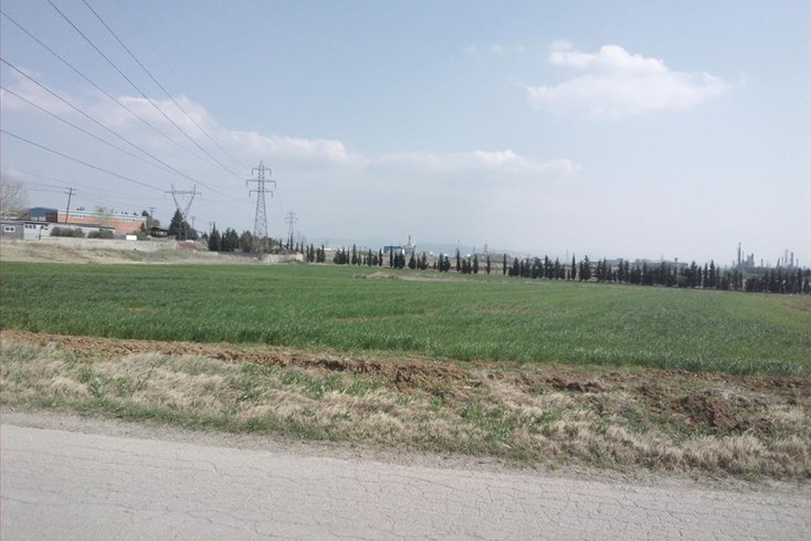 Realty photo 2