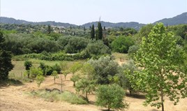 Land 4000 m² in Corfu