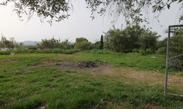 Парцел 4000 m² на о-в Корфу