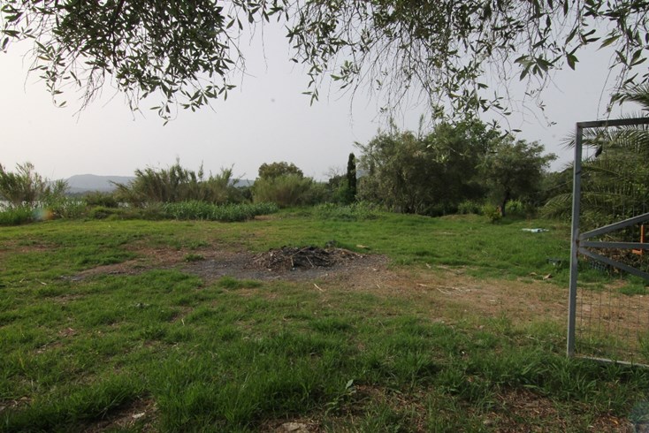 Realty photo 2