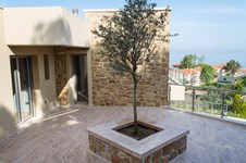 Property 22908 photo 5