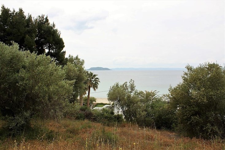 Realty photo 1