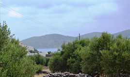 Land 2017 m² auf Kreta