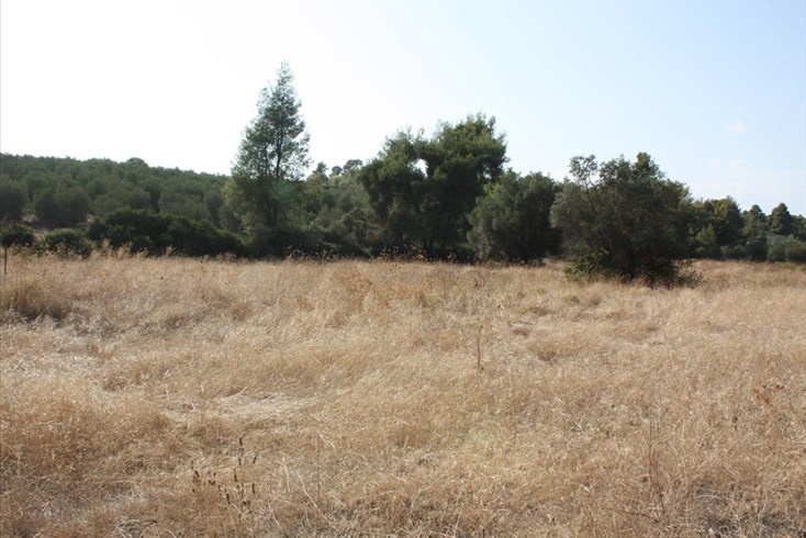 Realty photo 3