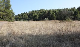Terrain 4960 m² à Sithonia (Chalcidique)