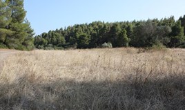 Land 4960 m² in Sithonia, Chalkidiki