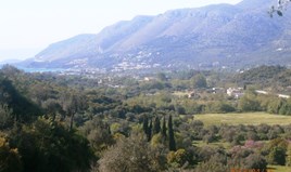 Arsa 23000 m² Epirus’da