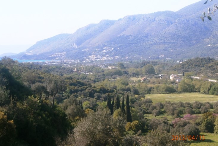Realty photo 1