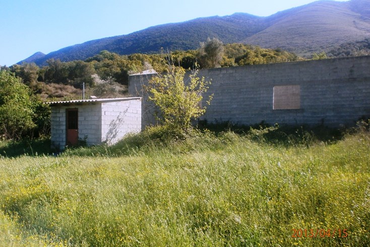 Realty photo 2