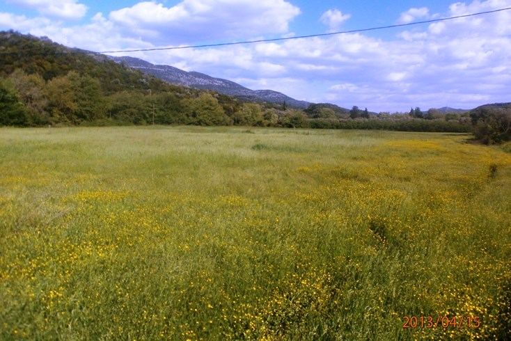 Realty photo 3
