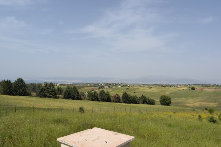 Realty photo 2