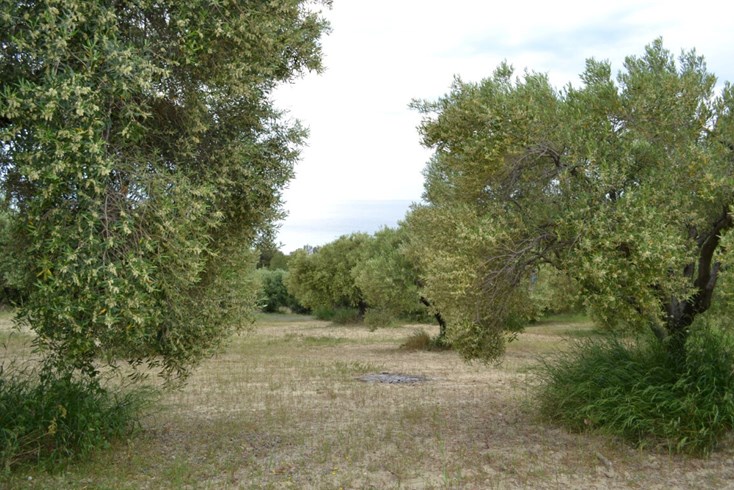 Realty photo 2