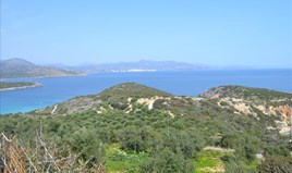 Land 4200 m² in Crete