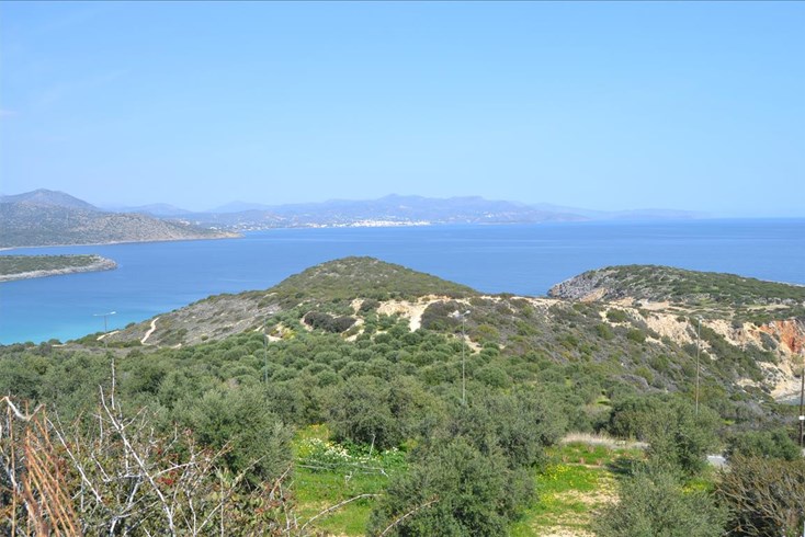Realty photo 1