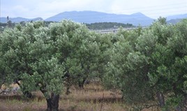 Land 4070 m² auf Kreta