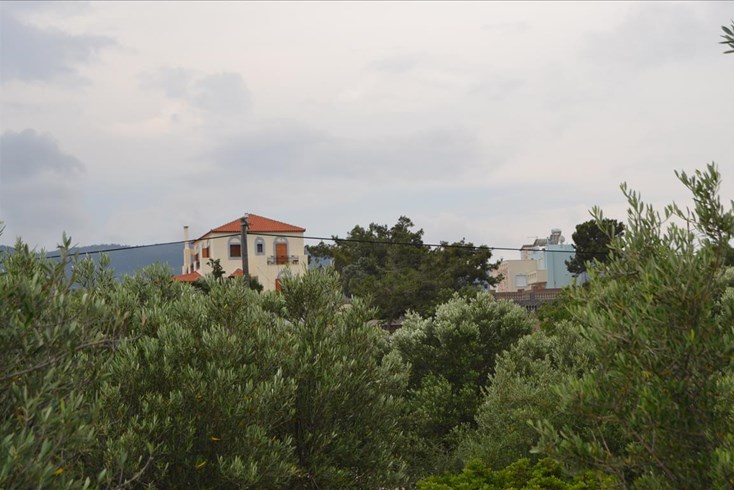Realty photo 2