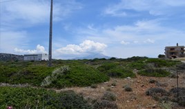 Terrain 21000 m² en Crète