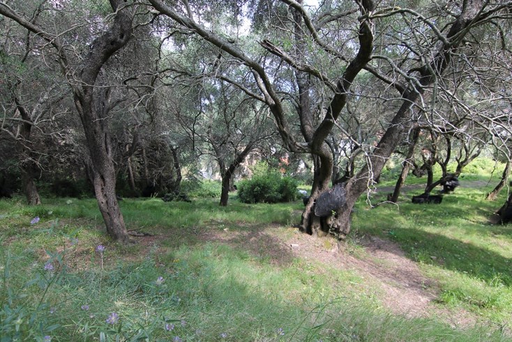 Realty photo 2