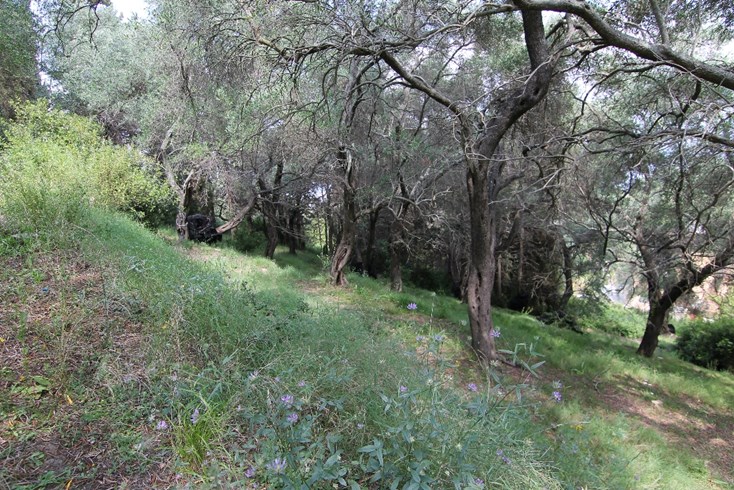 Realty photo 3