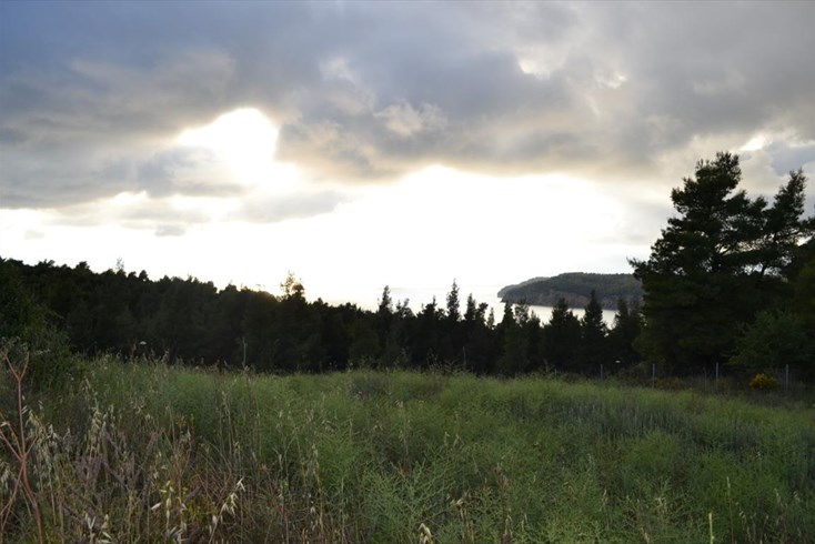Realty photo 1