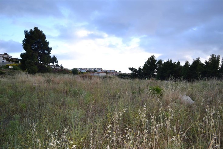 Realty photo 2