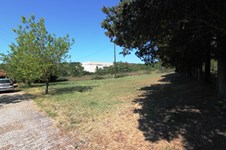 Property 23242 photo 6