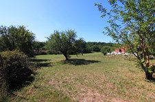 Property 23242 photo 7