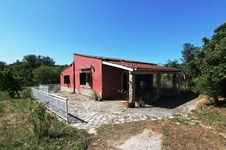 Property 23242 photo 1