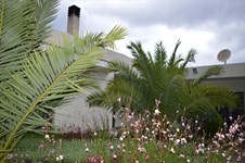 Property 23311 photo 12