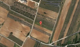 Zemljište 5000 m² na Atici