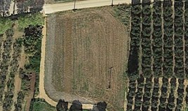 Land 3039 m² in Chalkidiki